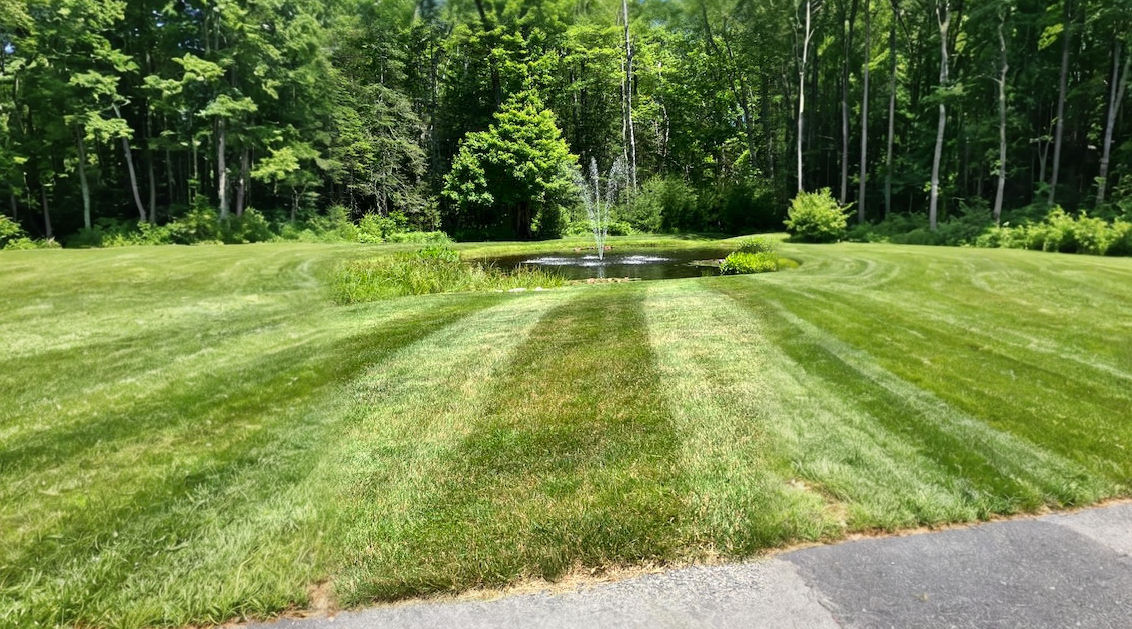 Mown lawn with pond and fountain