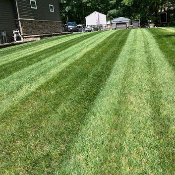 Freshly mown striped lawn