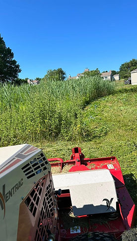LA LAWN CARE LLC crew equipment on site