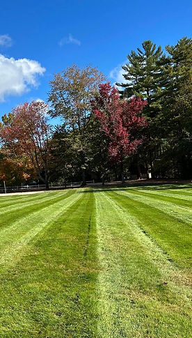 Freshly mowed lawn with striped pattern