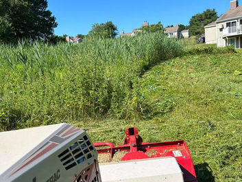 Lawn Mowing