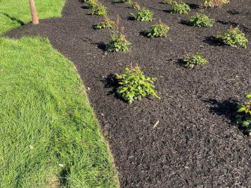 Bark Mulching