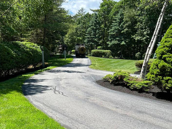 Shrub Trimming