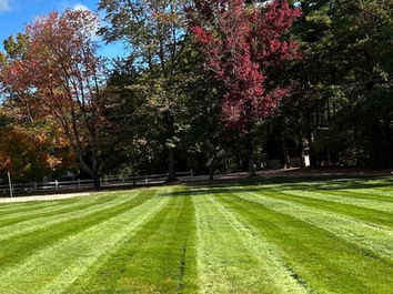 Field Mowing