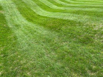 Slope Mowing