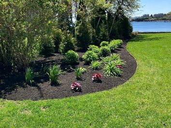Bed Edging