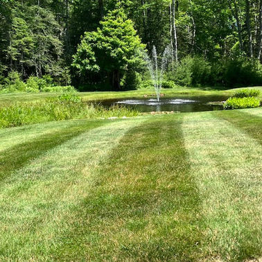 LA Lawn Care LLC project photo