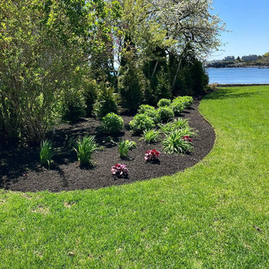 LA Lawn Care LLC project photo