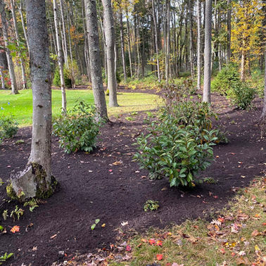 LA Lawn Care LLC project photo