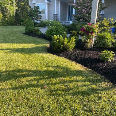 LA Lawn Care LLC project photo
