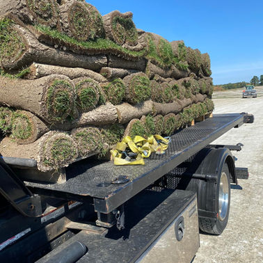 LA Lawn Care LLC project photo