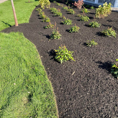 LA Lawn Care LLC project photo