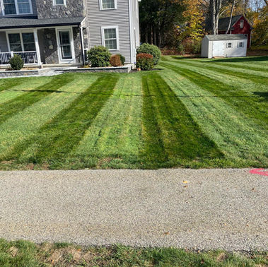 LA Lawn Care LLC project photo