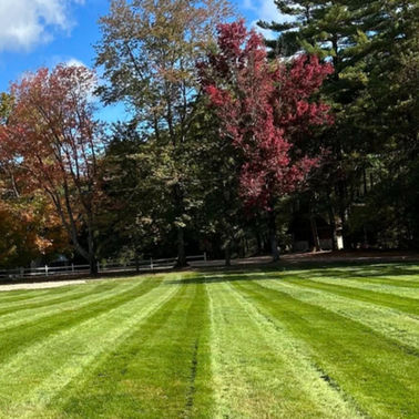 LA Lawn Care LLC project photo