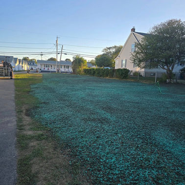 LA Lawn Care LLC project photo