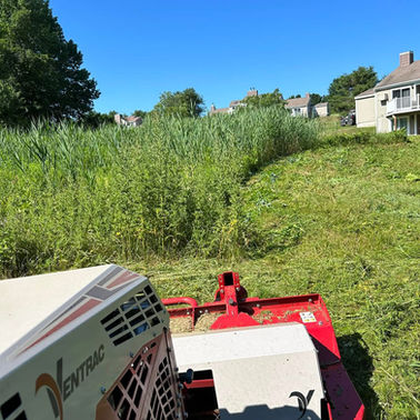 LA Lawn Care LLC project photo