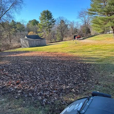 LA Lawn Care LLC project photo